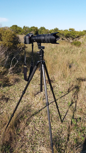 Nikon 70-200 mm f/2.8 on tripod